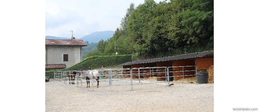 Paddock Mudronno